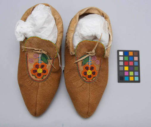 Moccasin