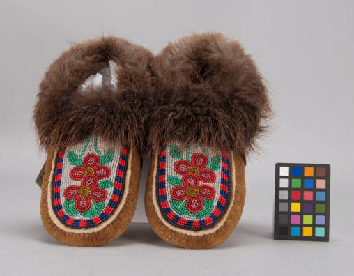 Moccasin