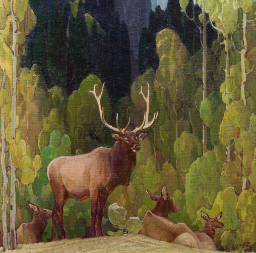 Elk in the Aspen