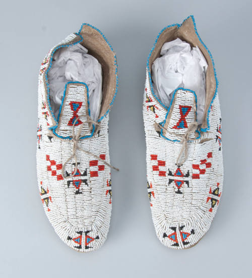 Moccasin