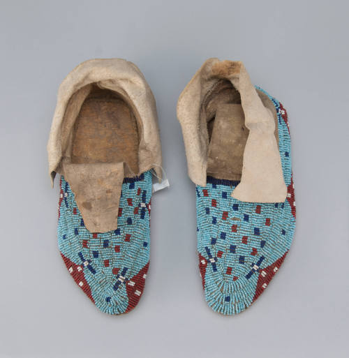 Moccasin