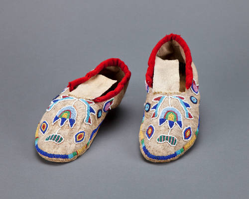 Moccasin