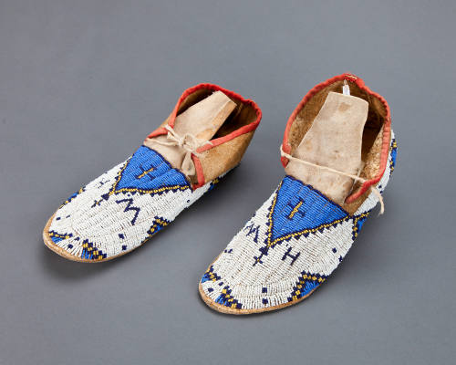 Moccasin