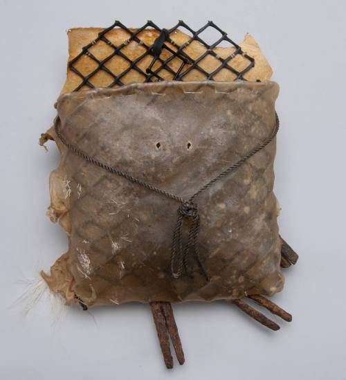 Tlingit