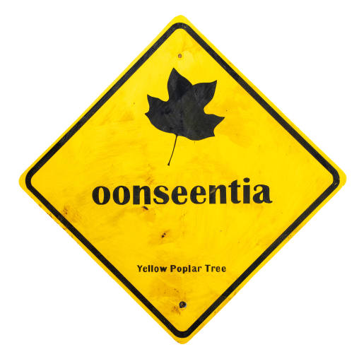 Oonseentia