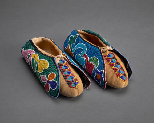 Moccasin