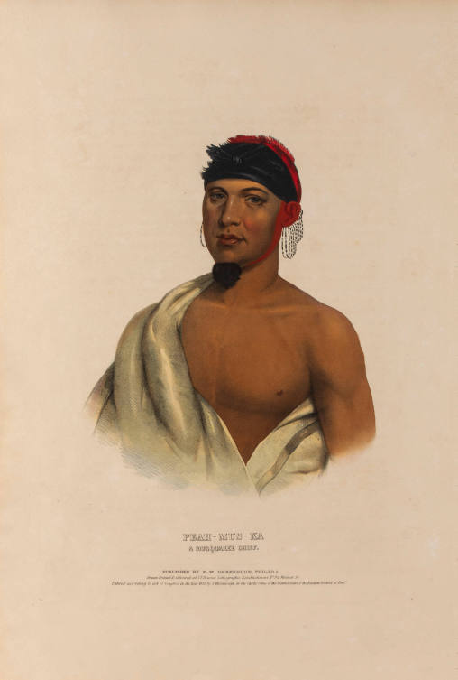 Peah-Mus-Ka, A Musquakee Chief