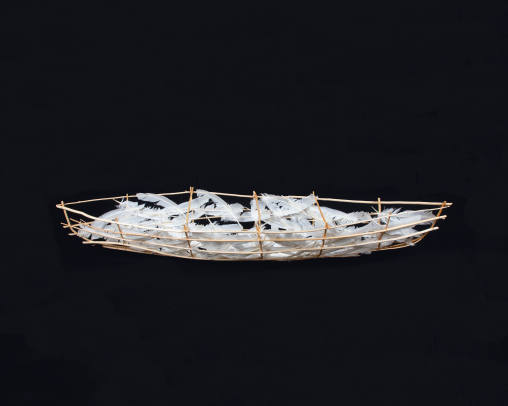 Feather Canoe
